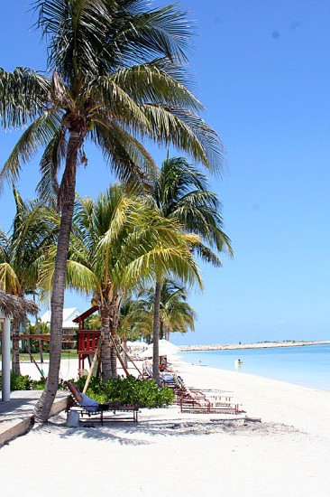 Old Bahama Bay
